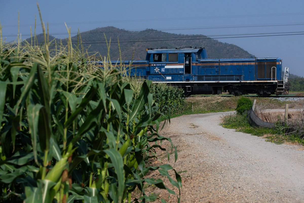 A.S. Associated Engineering
タイ国鉄ナムトク線 工臨
DD51 1137+ホッパー車12B+モーターカー