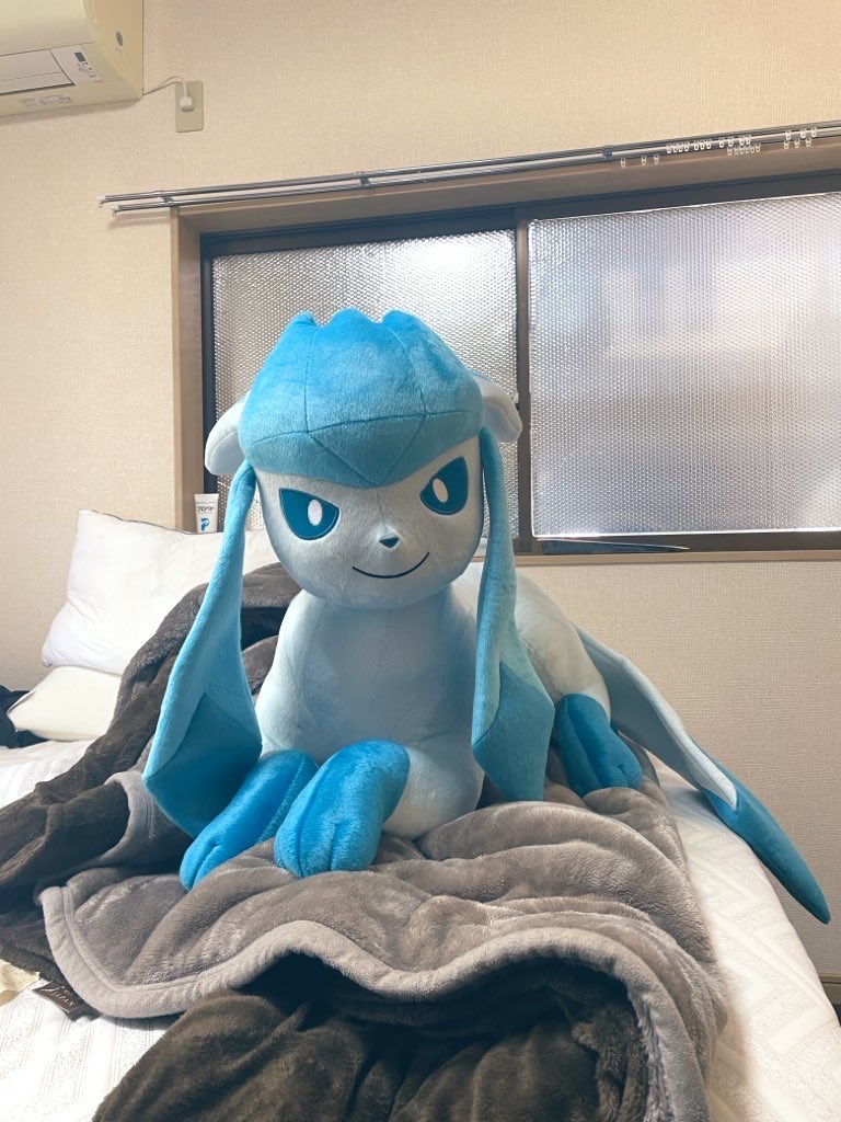等身大グレイシアぬいぐるみ届いた