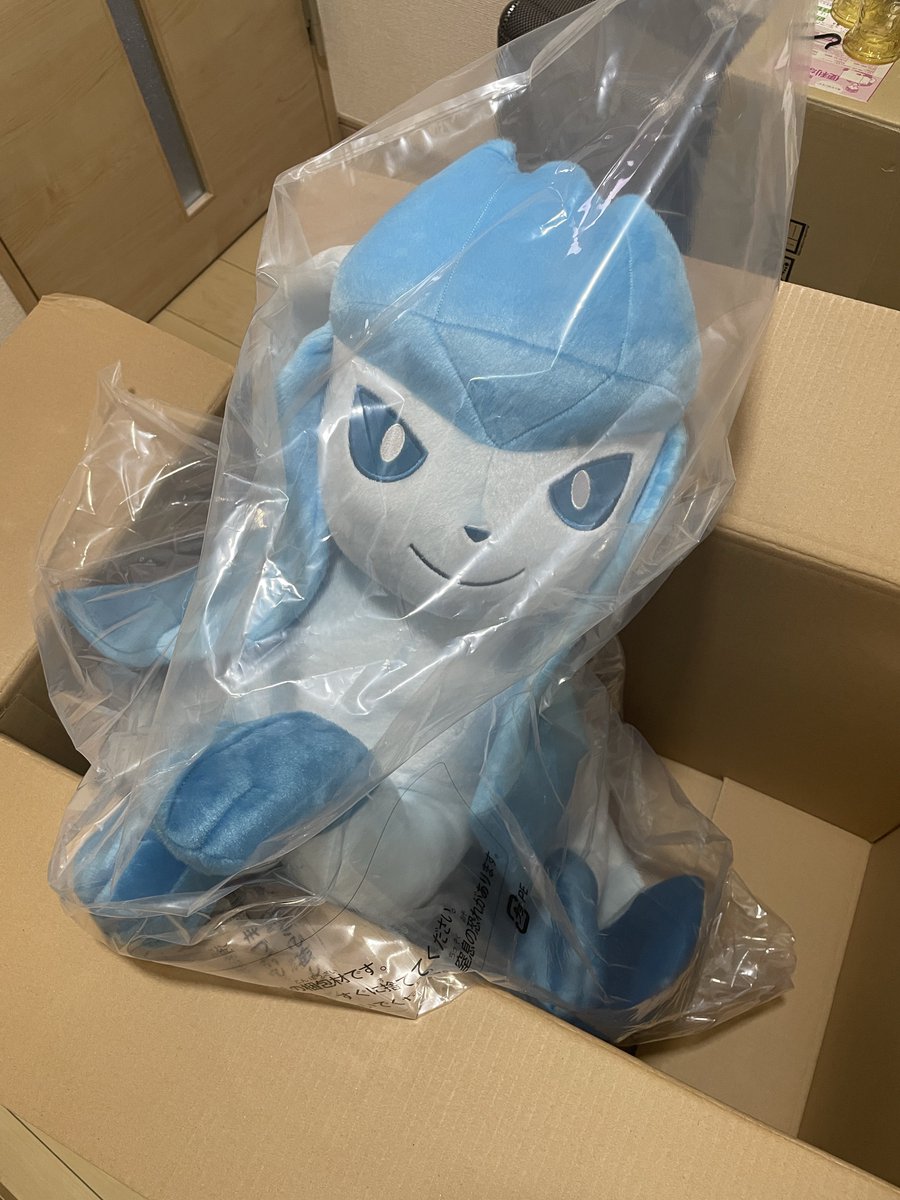 等身大グレイシアぬいぐるみ届いた