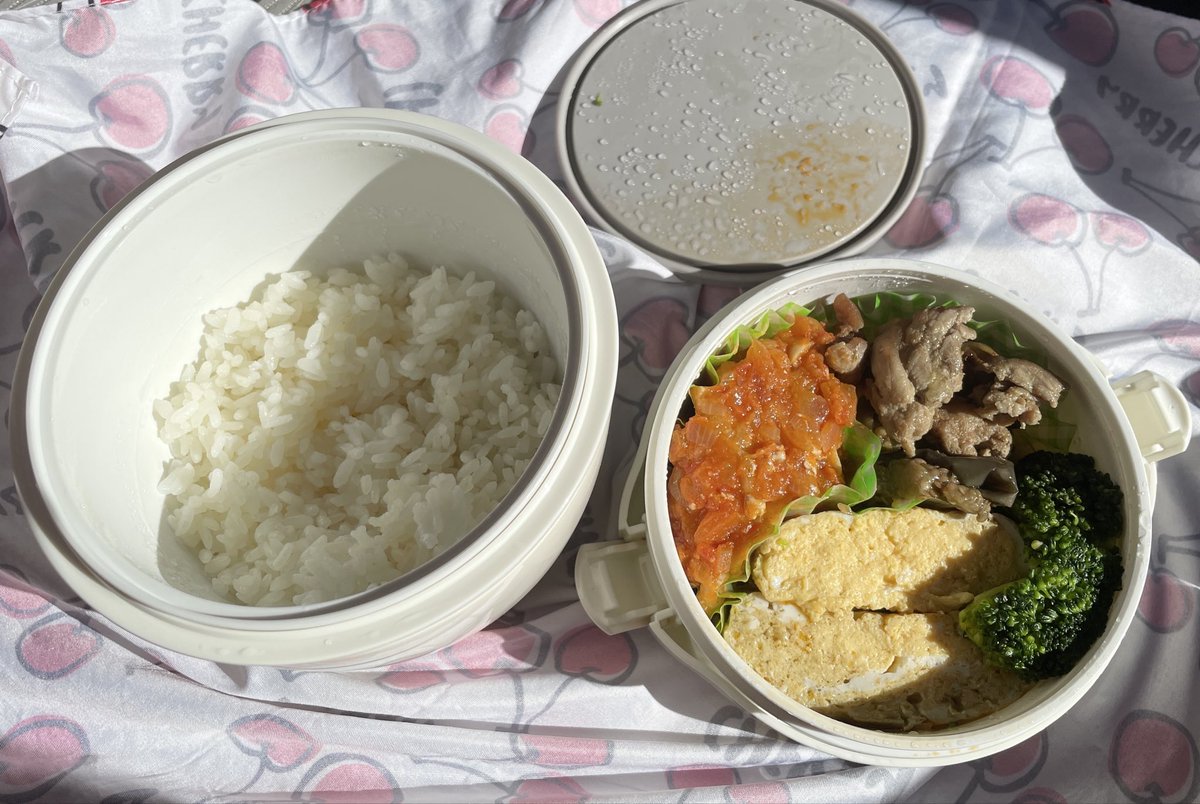 風のニャン太郎 ฅ^•ω•^ฅ (@kaze_nyantarou) / Posts / X