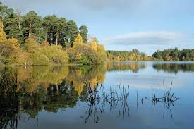 Royal Household Mail tweet media