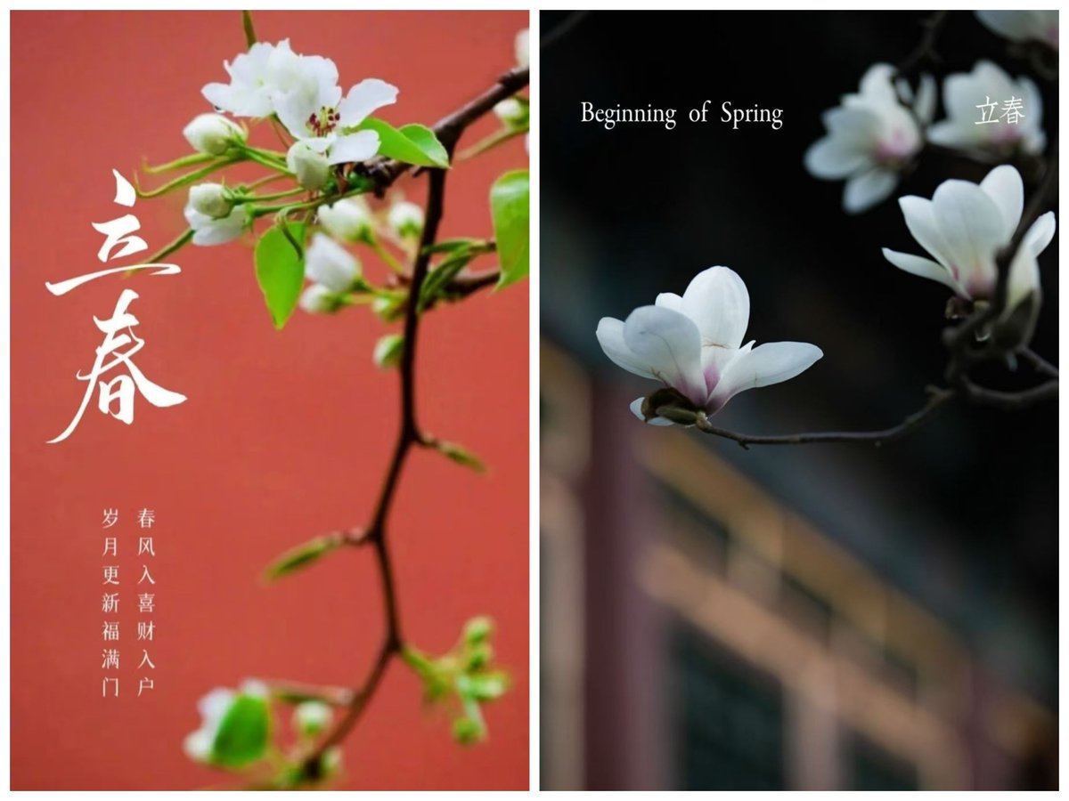 Ryan830504's tweet photo. 立春已至，万物向阳，岁岁皆安。Spring has arrived, all things turn to the sun, and may peace be with you year after year. https://t.co/DYddpfK5fB