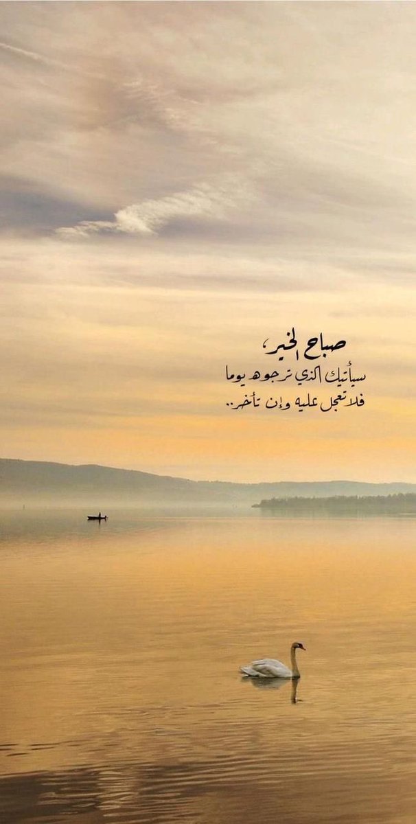 د. رانيا 🍃 (@rania2020z) on Twitter photo 