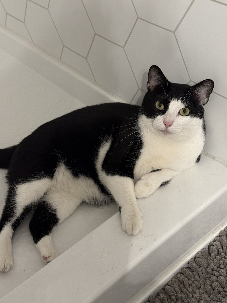 DinaMarie tweet media