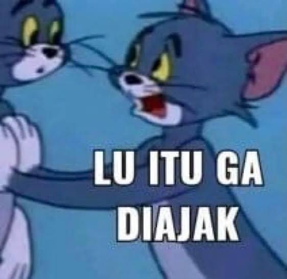 hayo ◂Ⓘ▸ tweet media