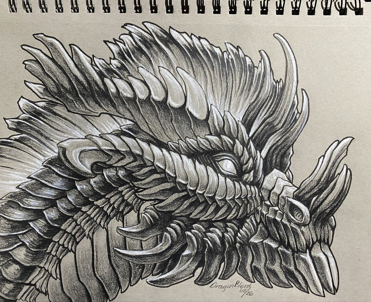 Dragon Drawing