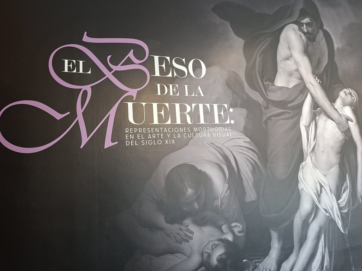 MarkBbkWarro's tweet photo. Donde esta el @museo_sancarlos joya d la arquitectura,con una gran colección d arte y siempre interesantes expos temporales👇 #MNSC https://t.co/Hge55jKtz9