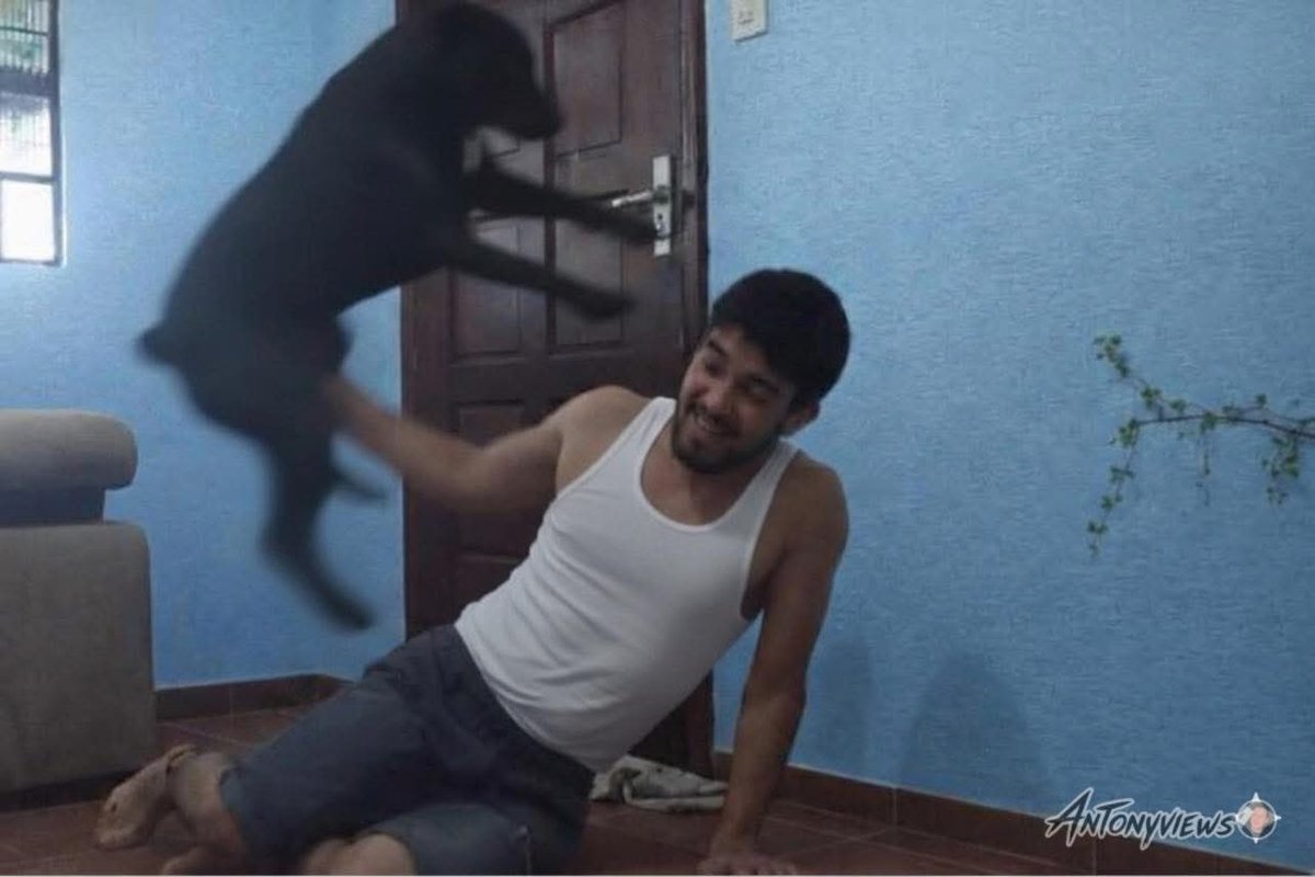 Yo: Ya cálmate, ya no juego…

Mi perrito: Cómo de que no…