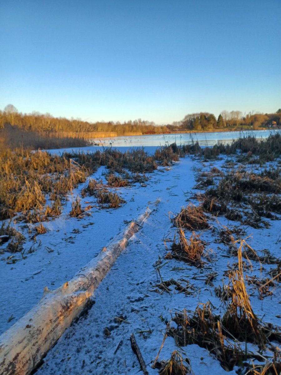 TheScottishDan's tweet photo. a beautiful cold scottish day at the Loch https://t.co/pDJ9TAVIuc