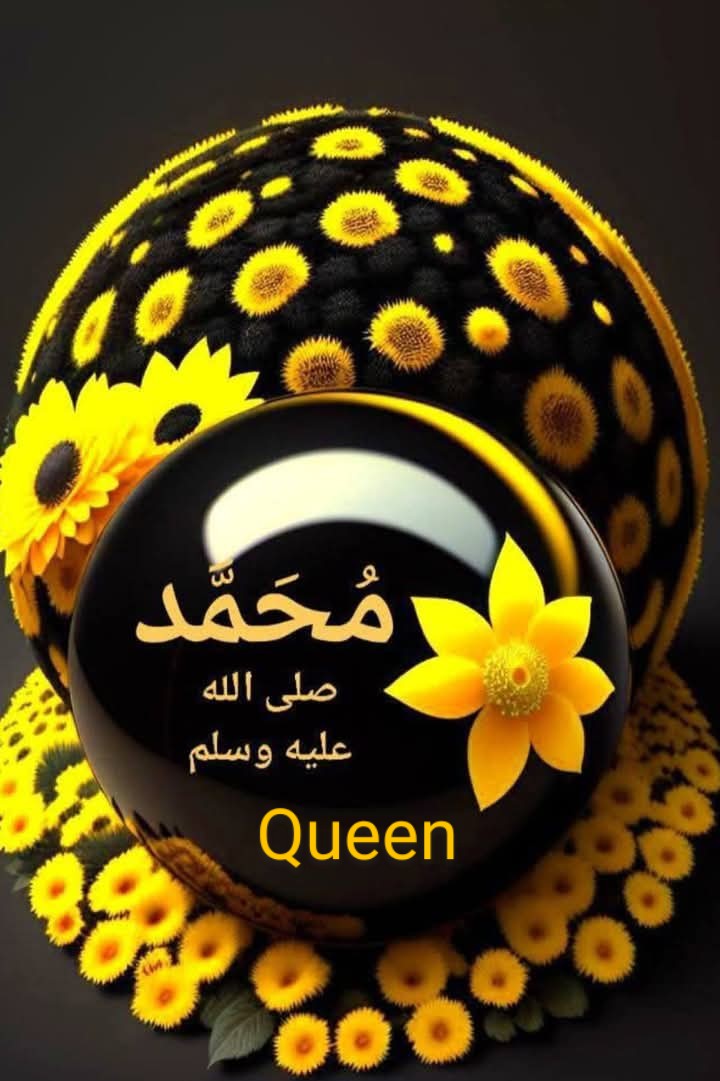 𝑄𝑢𝑒𝑒𝑛 𝐻 👑🕊.....🤍 tweet media
