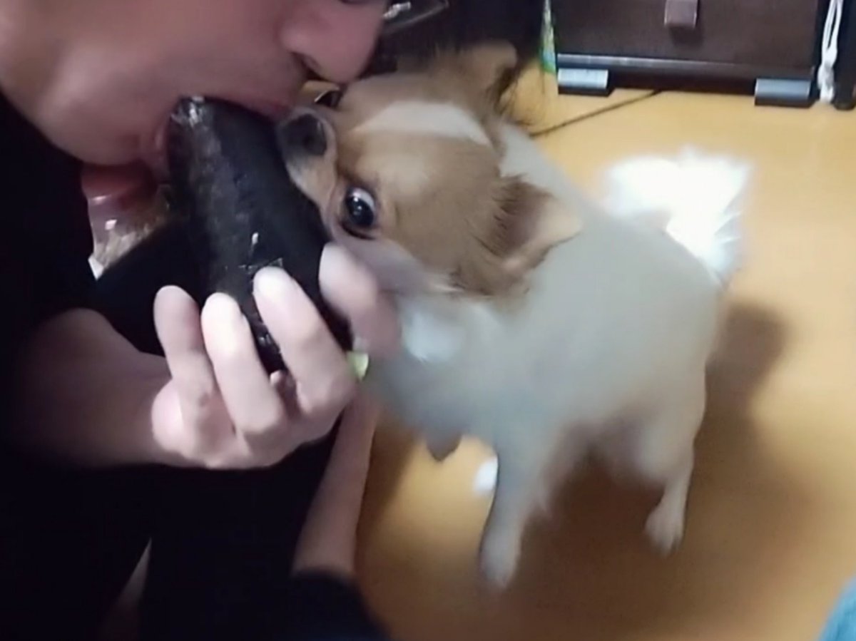 のり巻き強盗。