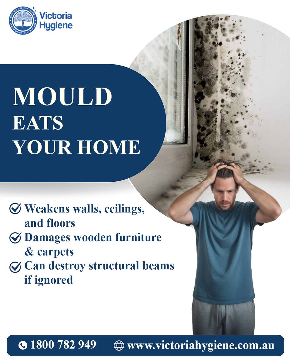 When mould shows up, getting it right the first time matters. 🏠
Our experts use proven methods, advanced equipment, and real experience to leave your space safe and mould-free.
📞 1800 782 949

#MouldRemoval #HealthyHome #Victoria
