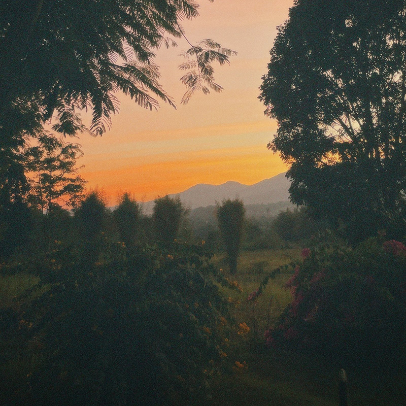 avex news エイベックスニュース tweet media