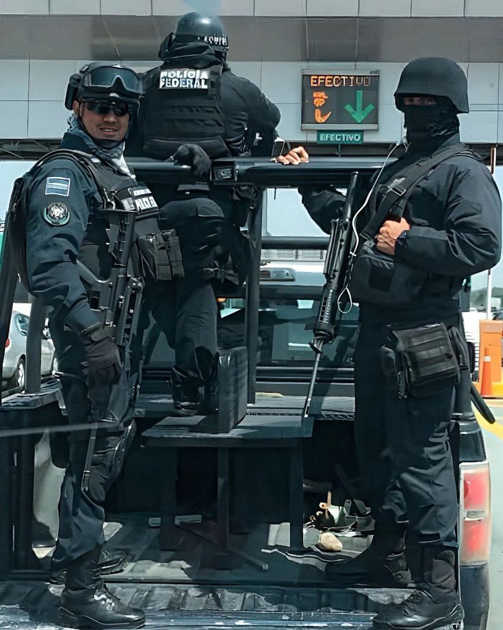 DON PRANGANAS tweet media