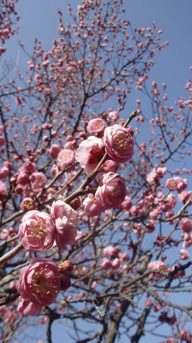 少しだけ晴るの匂いがした