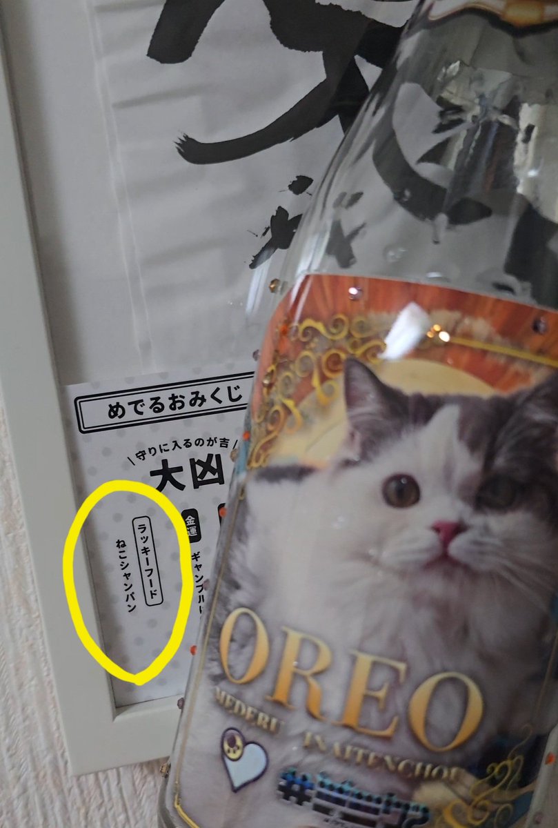 ラッキーアイテムのネコシャンパンの空き瓶をゲットした！！これでラッキーボーイになれるのか運勢が末吉くらいになるのかが気になります、、

 #喫茶めでる