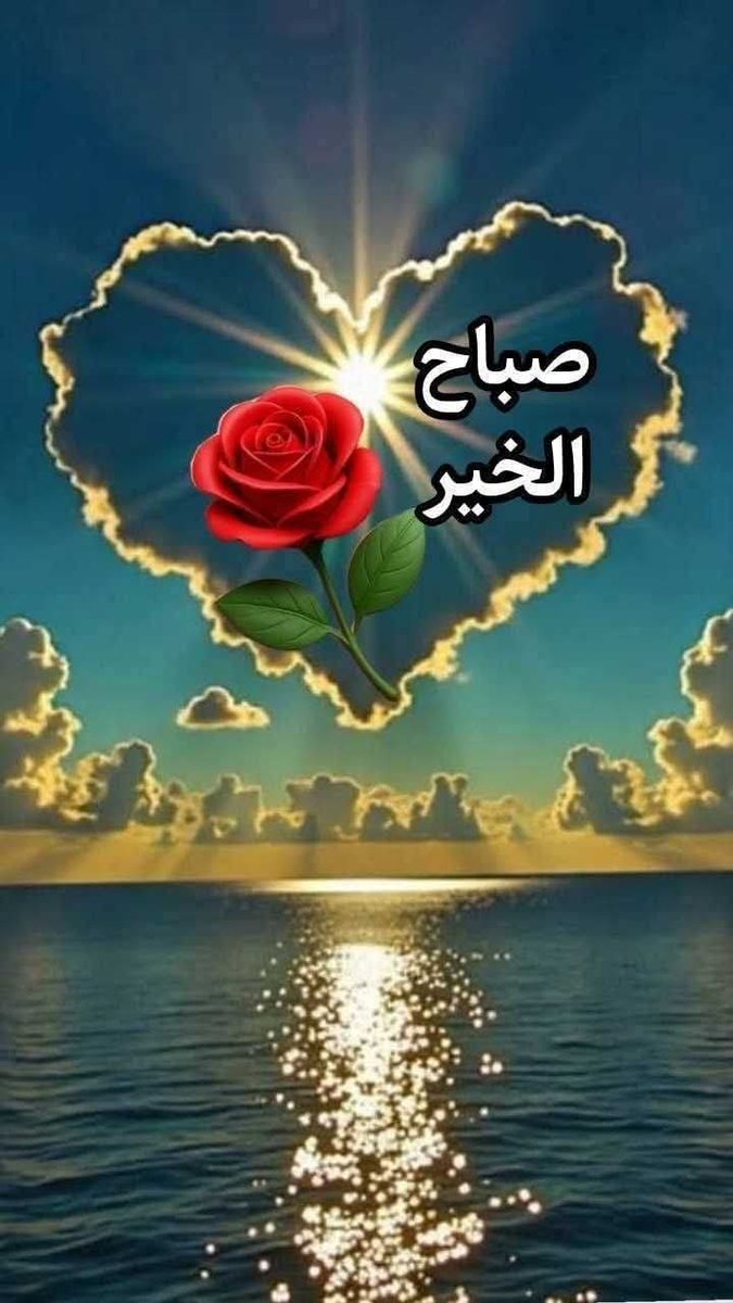#صباح مشرق يملؤه الأمل☀️ والبدايات الجميلة
صباح يحمل معه إشراقة جديدة 🥰وفرصالاتعد،ليجعل يومك مميزا كما أنت لكل من يترقب شروق الشمس كل صباح،ليبادلنا التحية بالابتسامة😍والكلمة العذبة
 ولكل من يخصنا بالدعوات الطيبة
التي تملأ قلوبنا بالنور والسرور صباحكم إشراقة أمل وسعادة لا تنتهي