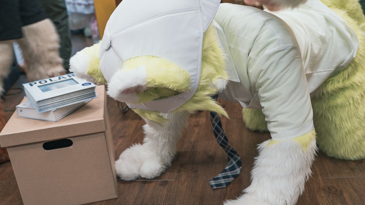 법인?카드라는게 무제한이라고 들어서
메론빵 왕창사먹었는데 해고당했어 🫠

#FursuitEveryday #메론림