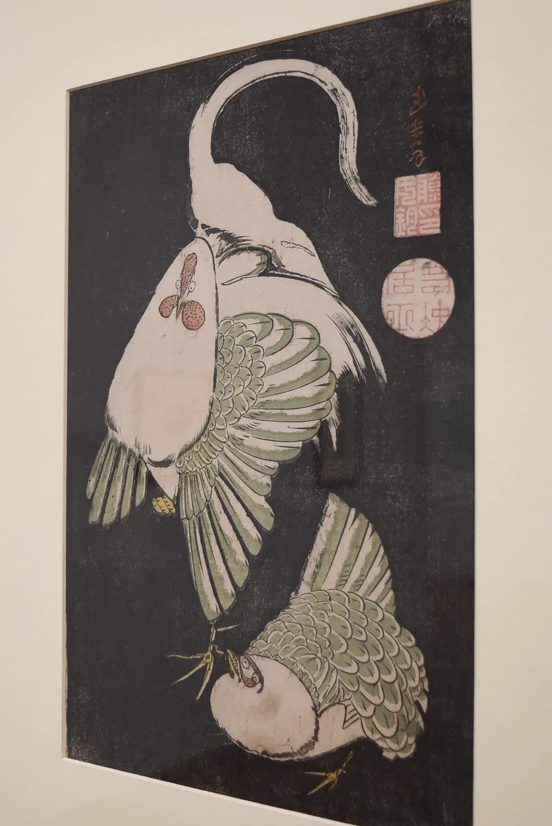 千葉市美術館 on X: 