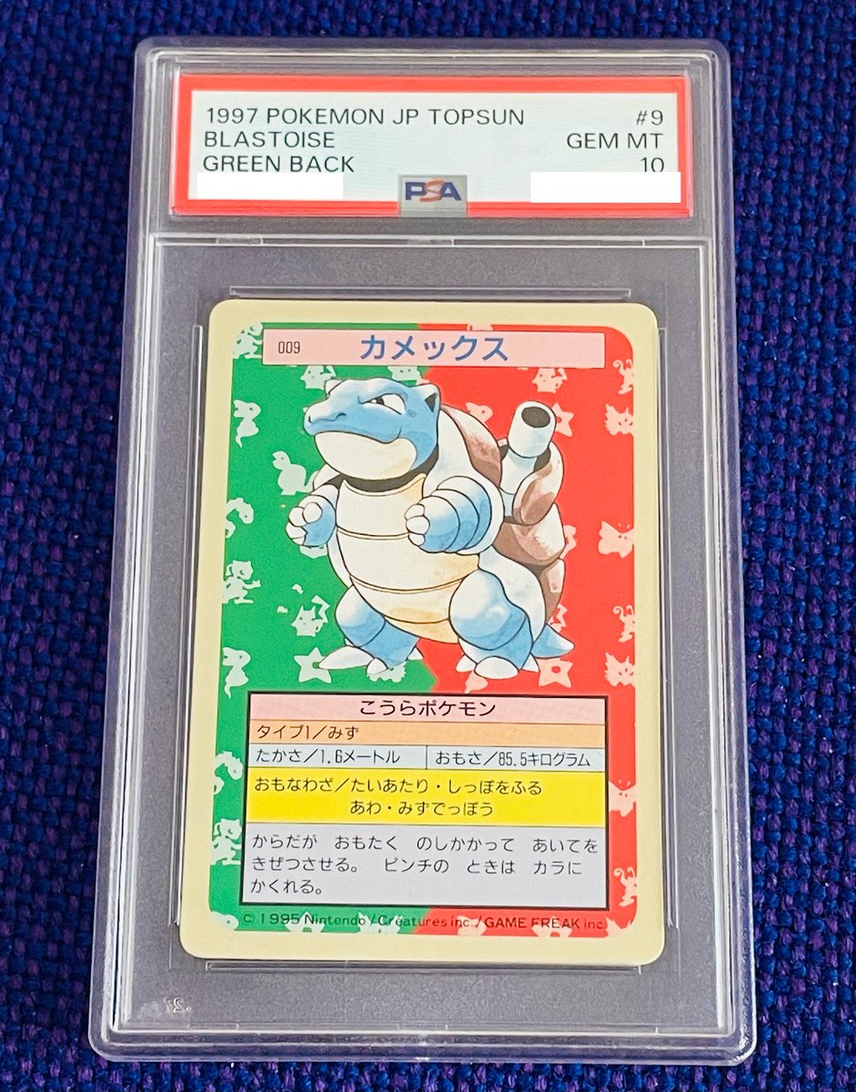 aster_265's tweet image. 🐢はいけました😊