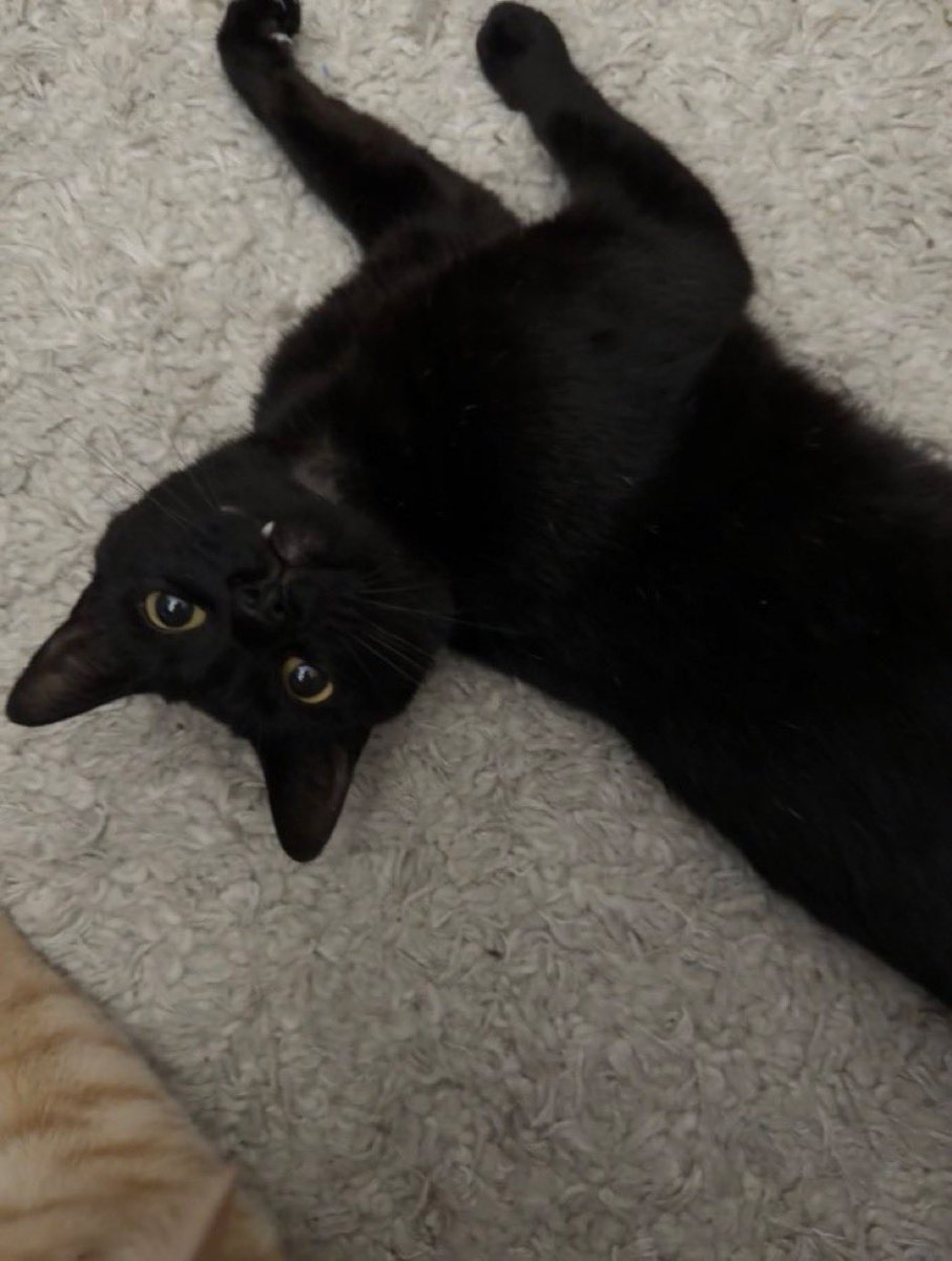 Panch Man tweet media