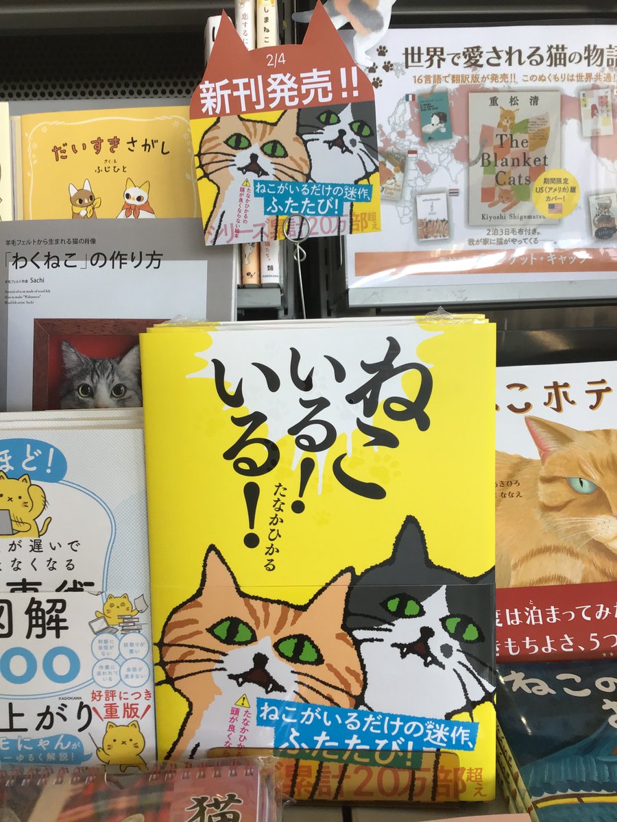 あの迷作が再び】 2/4 新刊発売‼ 「ねこがいる」 それだけのはなしが