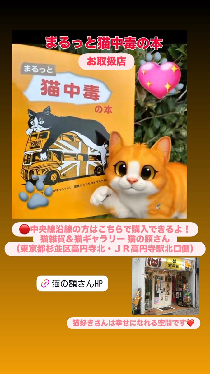 猫中毒