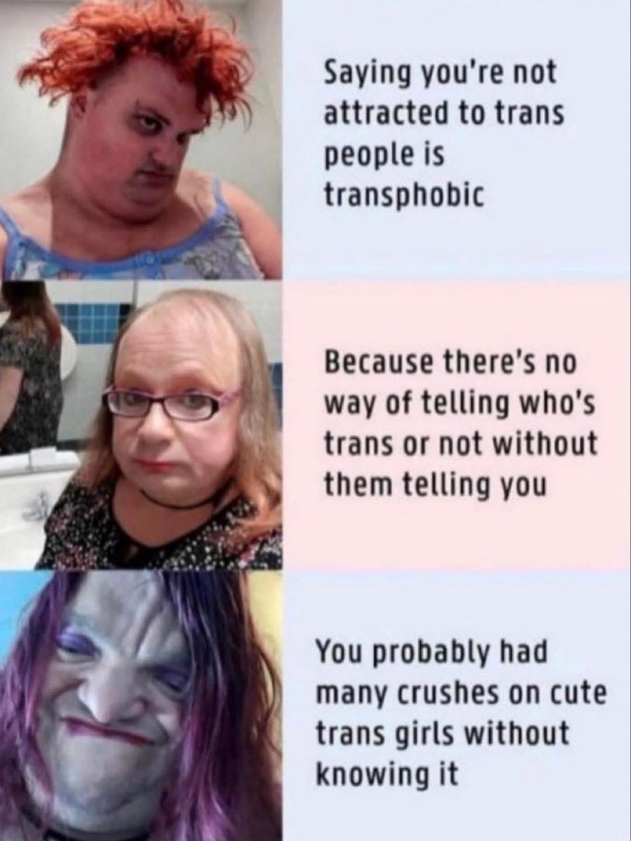 Steve Nugget tweet media