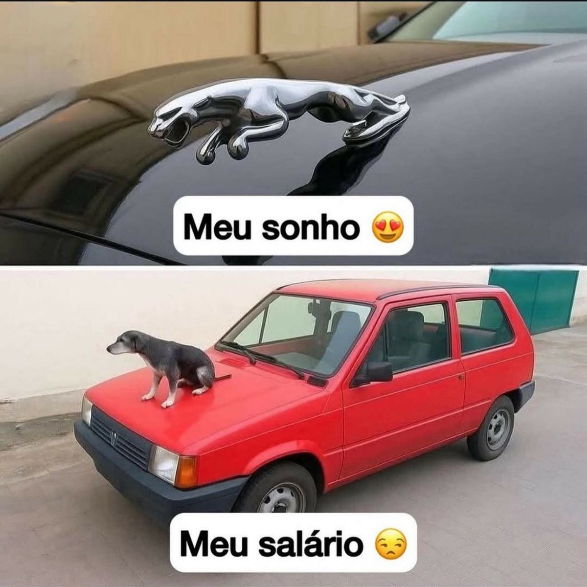 brainletbr's tweet photo. https://t.co/L4BKuw3Qlf