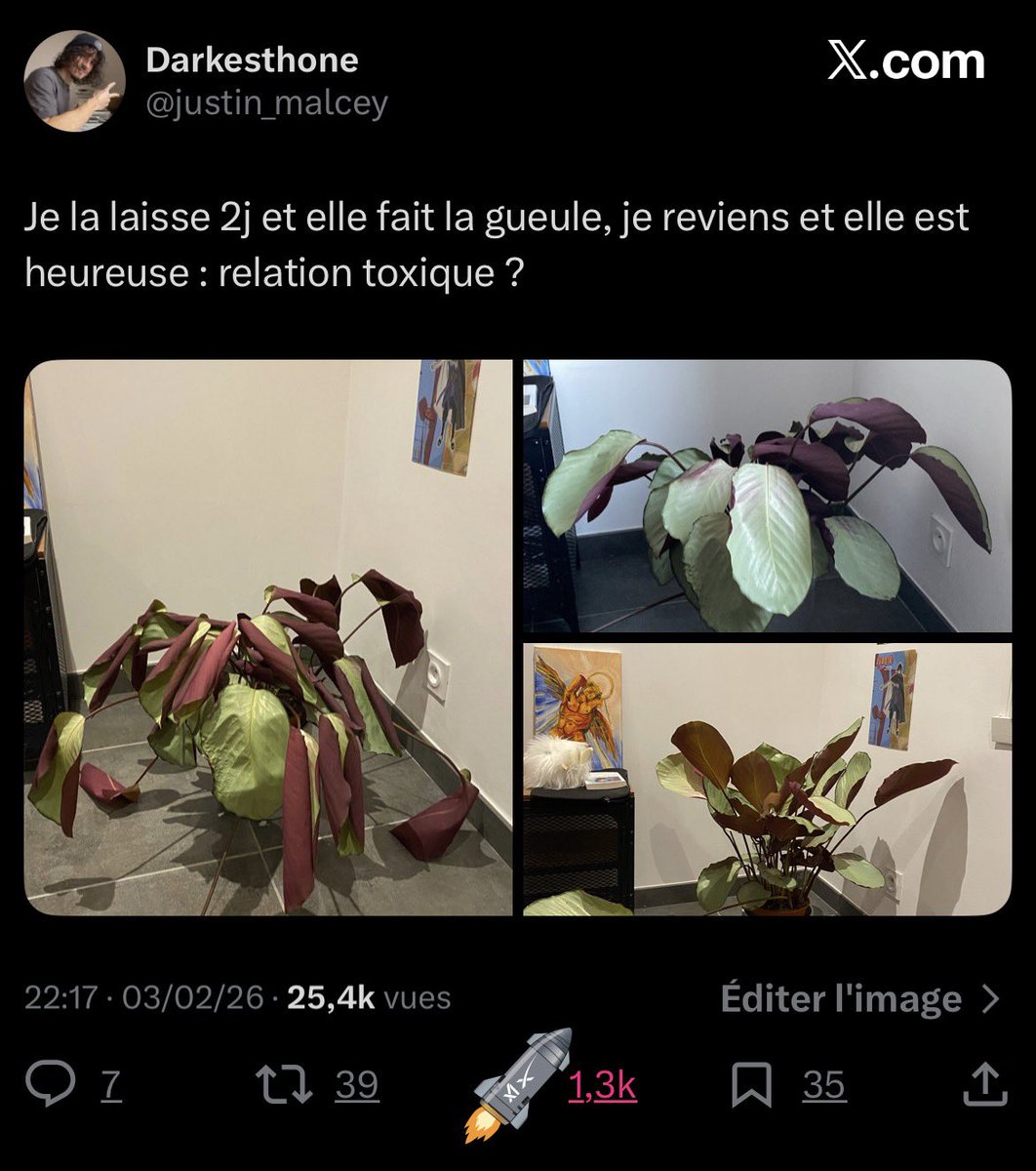 viecrit tweet media