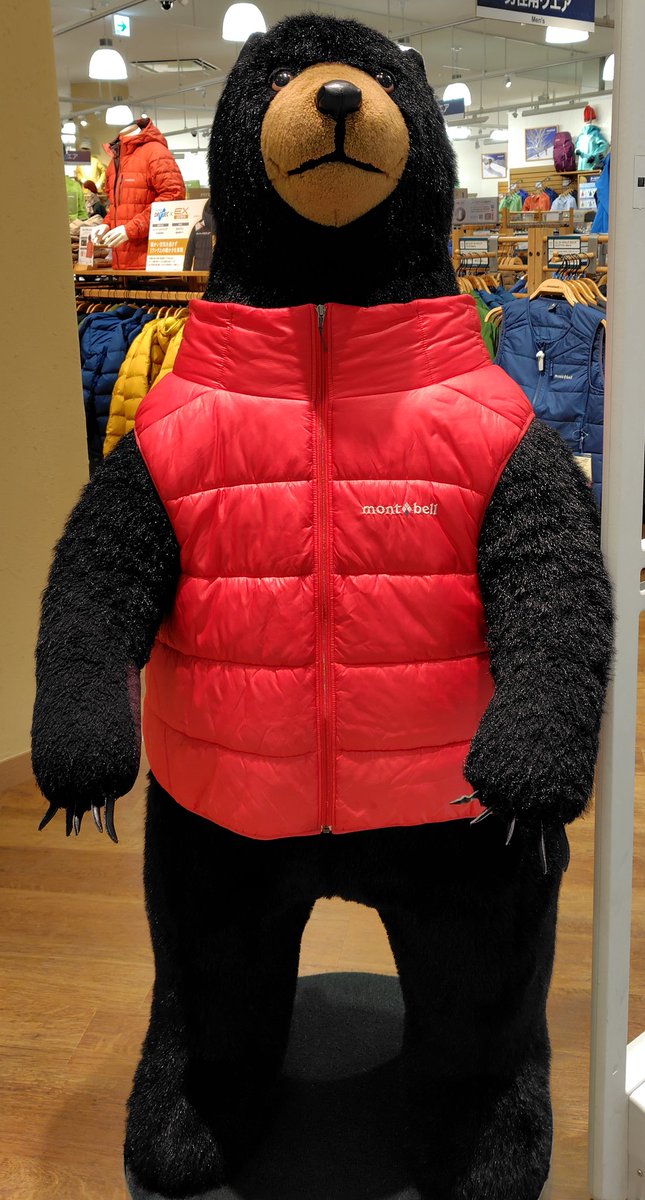 クマや 死んだふりせえ🐻