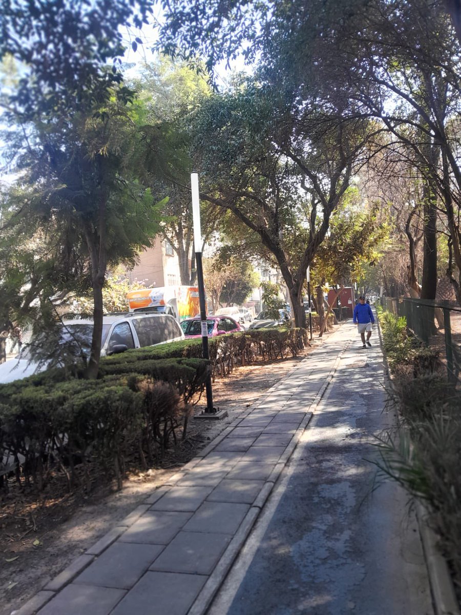 Acciones BJ tweet media