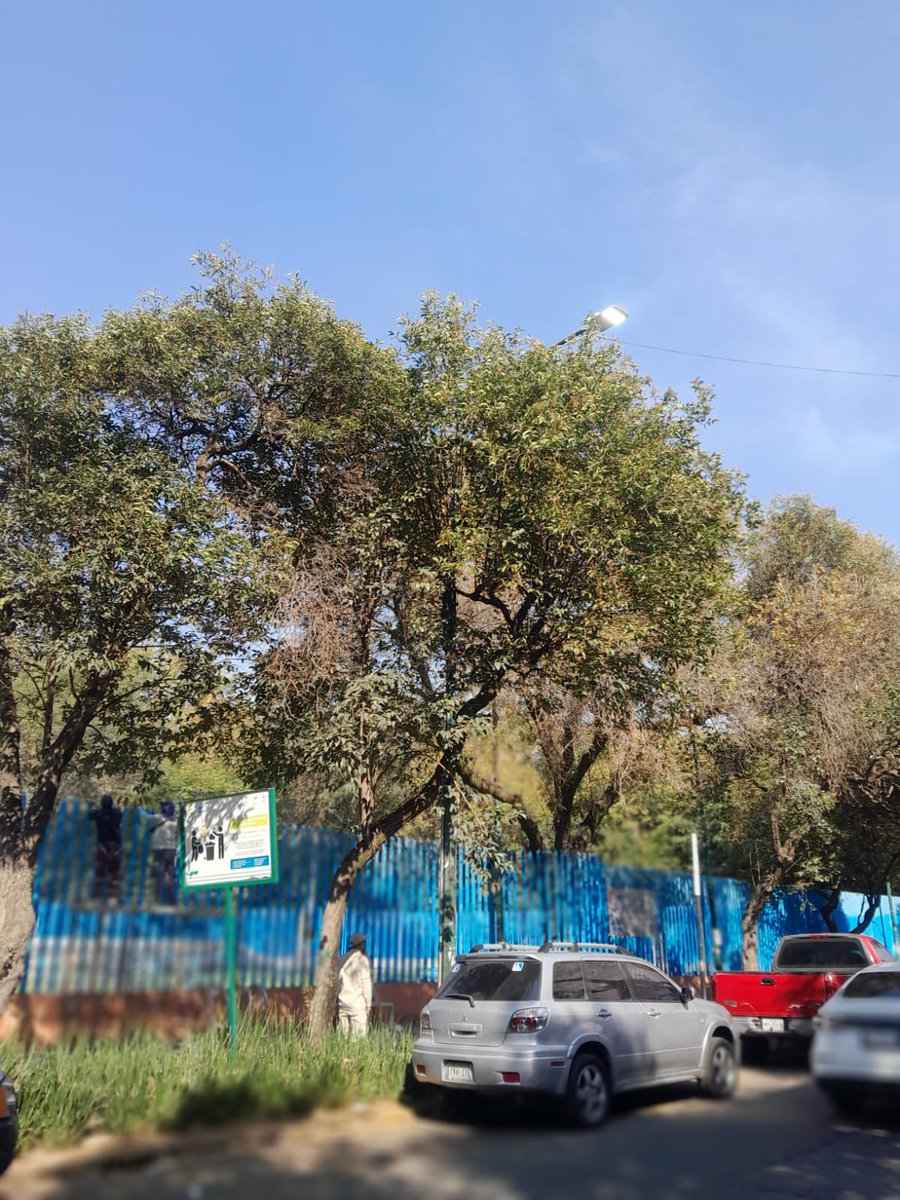 Acciones BJ tweet media