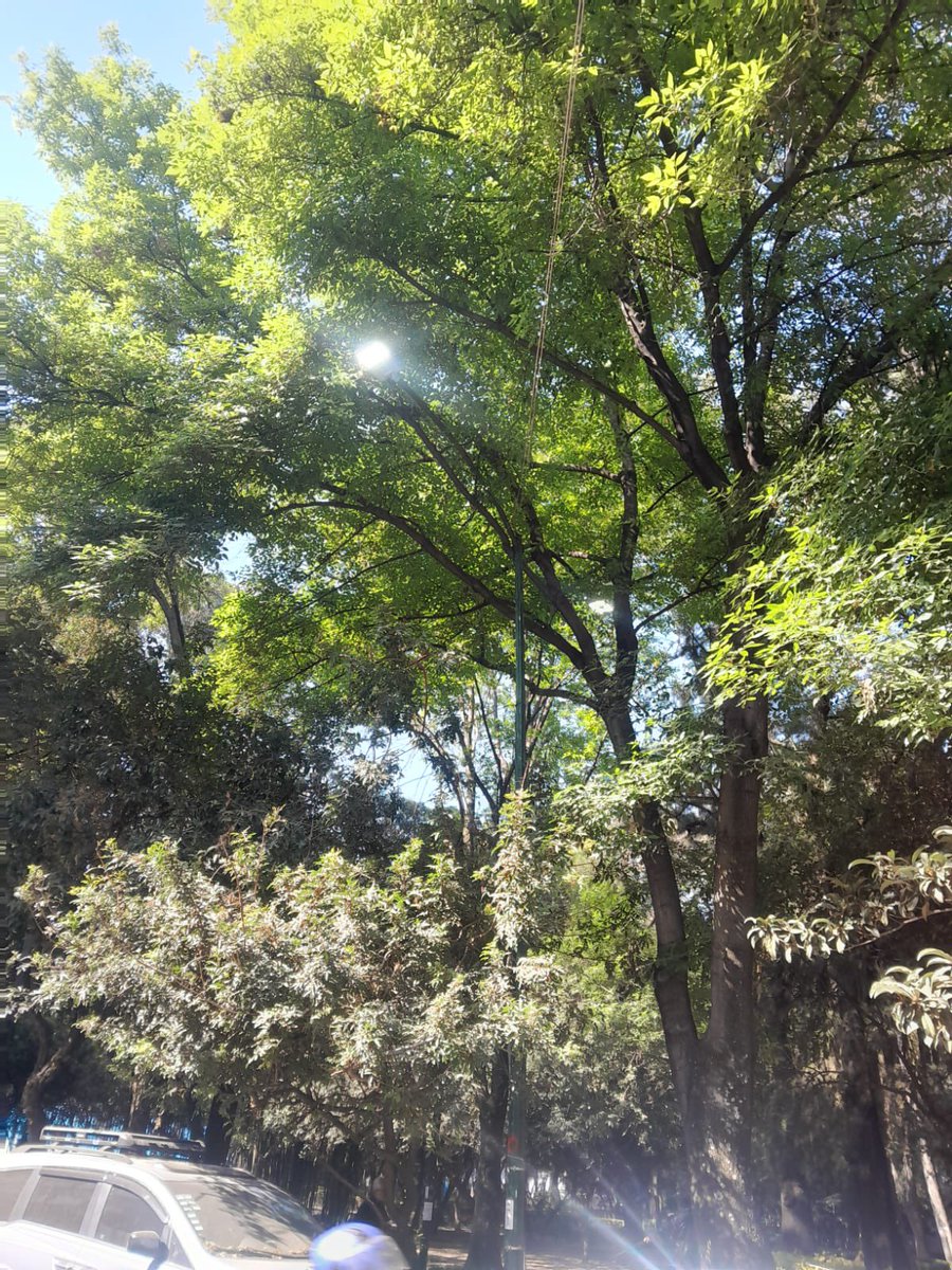 Acciones BJ tweet media