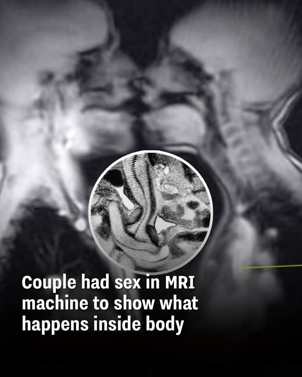 Shining Science tweet media