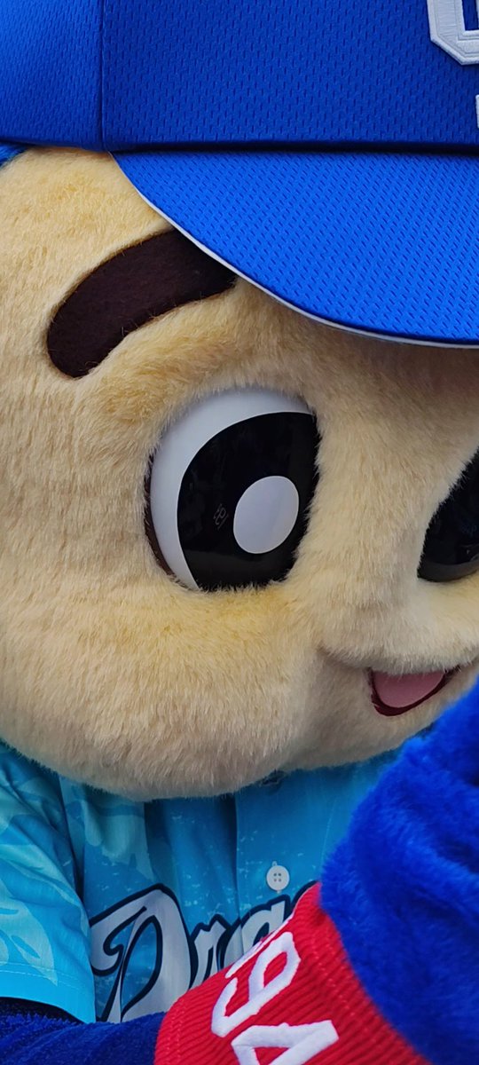 フサフサミミゲ@1994-doaragons on X: 