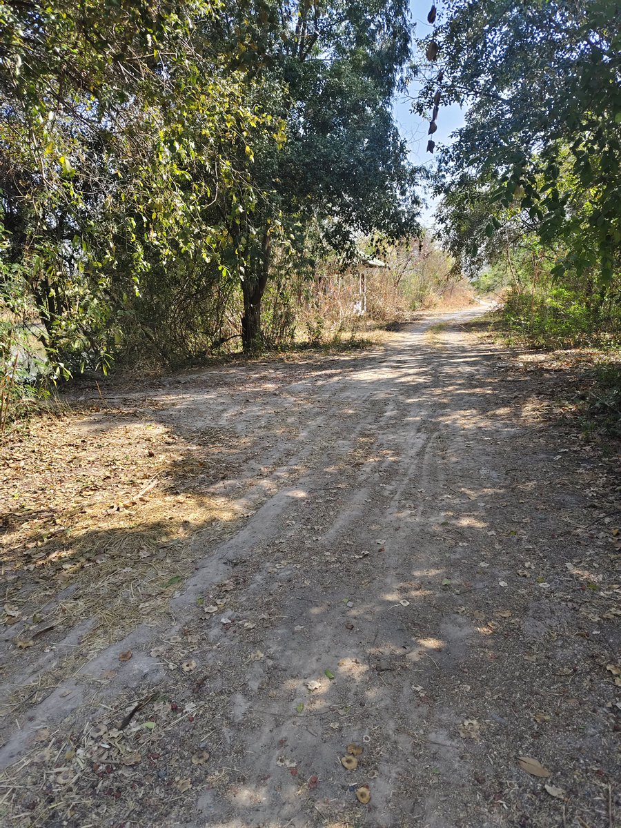 จอดตรงนี้นะ ที่สวยๆ  เหมาะๆ  เส้นทางระหว่างวังเพลิง- โบสถ์สระโบสถ์ 🤭
#แอบแซ่บลพบุรี #เน้นลับๆไม่เปิดเผย #สาวแก่  #แม่หม้าย  #แม่ร้าง  #สาวเล็ก  #สาวใหญ่ #ลพบุรีนัด #ลพบุรี