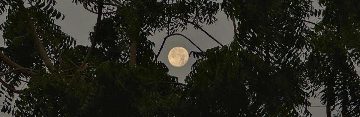 kha_10a's tweet image. 