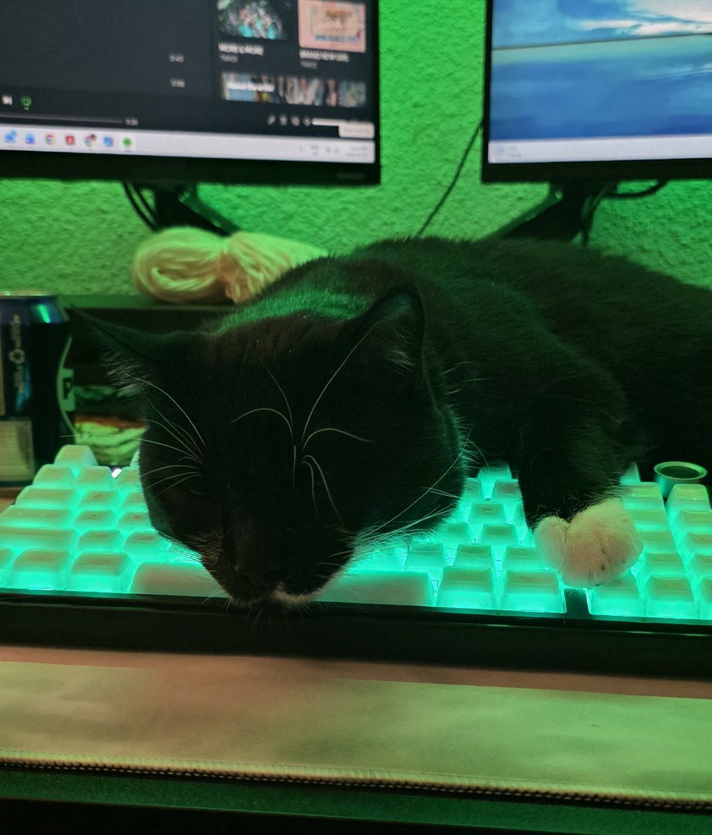 taay⁷ | ₂₀₁₉_₀₂₀₁ tweet media