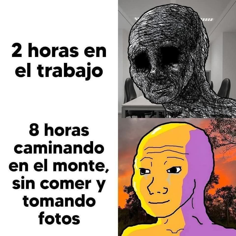 Experiencias indescriptibles.
