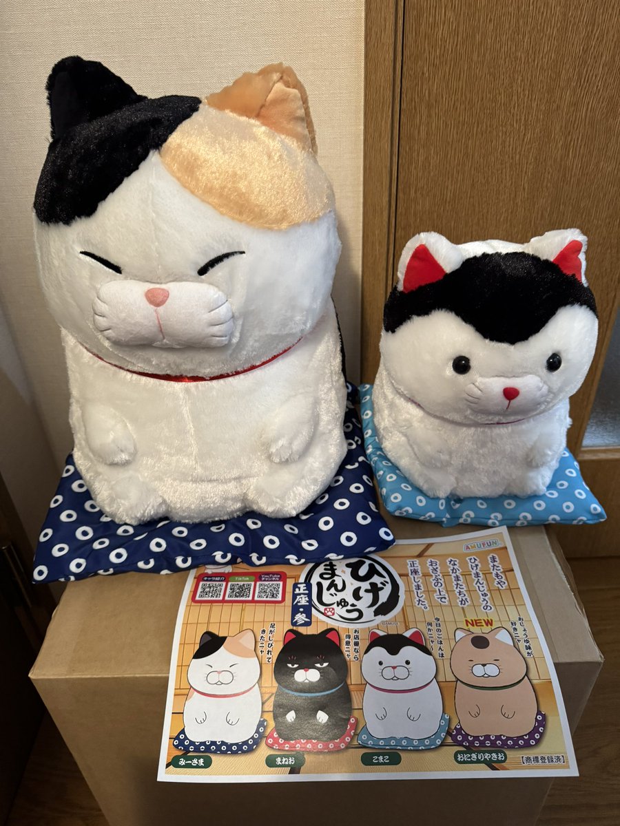 アミューズ AMUFUN【公式】 (@AMUSE_japan) / Highlights / X