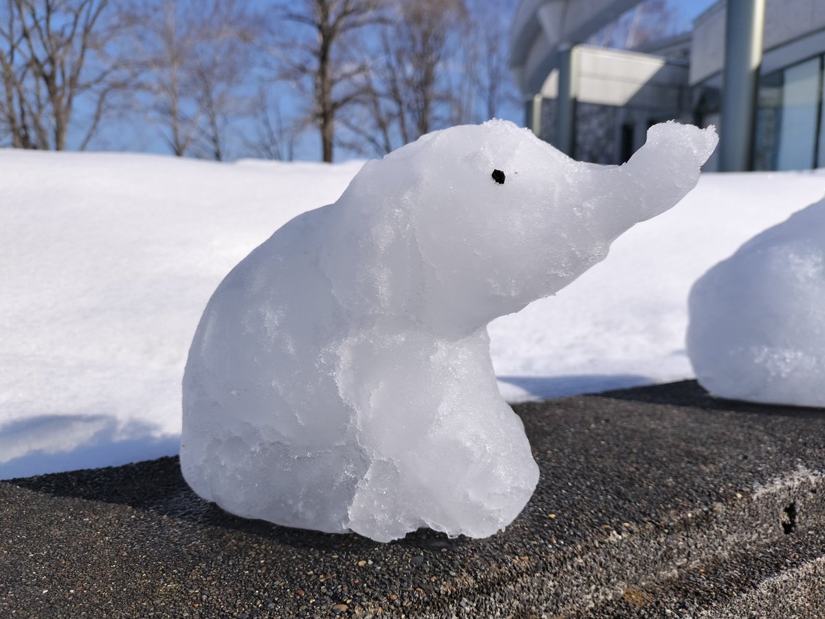 naumanzokinen's tweet image. 只今、当館ではたくさんのミニ雪ゾウ（雪像）達がお客様をお出迎えしております。小石で目をつけてみました。