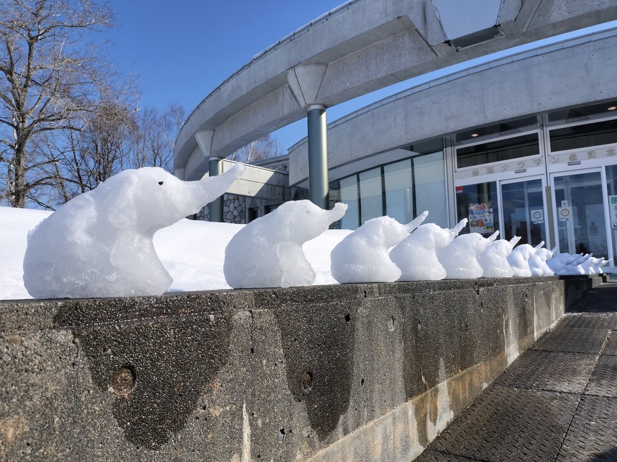 naumanzokinen's tweet image. 只今、当館ではたくさんのミニ雪ゾウ（雪像）達がお客様をお出迎えしております。小石で目をつけてみました。