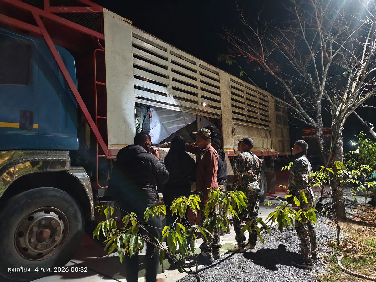 arisa2397's tweet image. หูพับ อายุ 10ขวบ ไม่รู้หรอกว่าตัวเองจะตาย การอดอาหารก่อนยิงยายังไม่มี คำสั่งศาลปกครอง ช้างเลยต้องตาย และน่าจะไม่ใช่ตัวสุดท้าย ยังมีอีกหลายตัวรอย้ายออกจากบ้านของพวกเขาไปขังคอก ช้างพูดไม่ได้ แต่มนุษย์พูดแทนพวกเขาได้ ได้โปรด ใครเห็นเรื่องนี้ช่วยกันส่งเสียงหน่อย #สีดอหูพับ #ช้างป่า