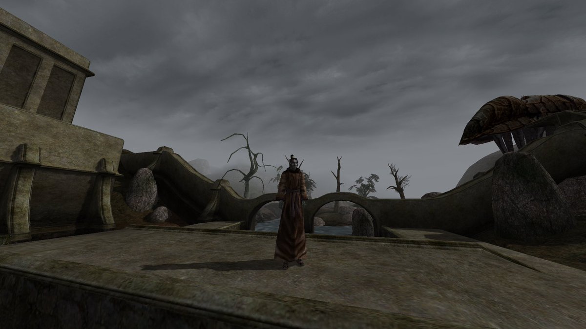 NeopolirantsArt's tweet photo. got fucked up and ended up in balmora, fuck my stupid n’wah life https://t.co/wluxJ7f1oh
