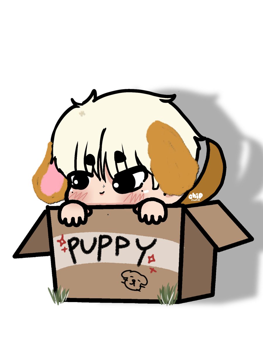 chipnuna's tweet photo. 🐶 ; missing puppy :(

@treasuremembers https://t.co/qvwDxXaJyO