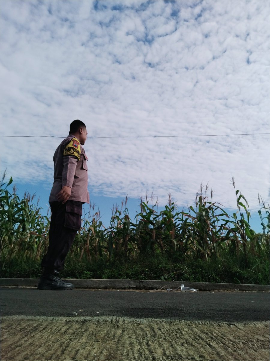 alaska_macan's tweet photo. Cek Tanaman 🌽 Jagung 

#SWASEMBADAPANGAN
#KETAHANANPANGAN
#POLDAJATENG
#POLRESKARANGANYAR https://t.co/SlJiRuC6CE