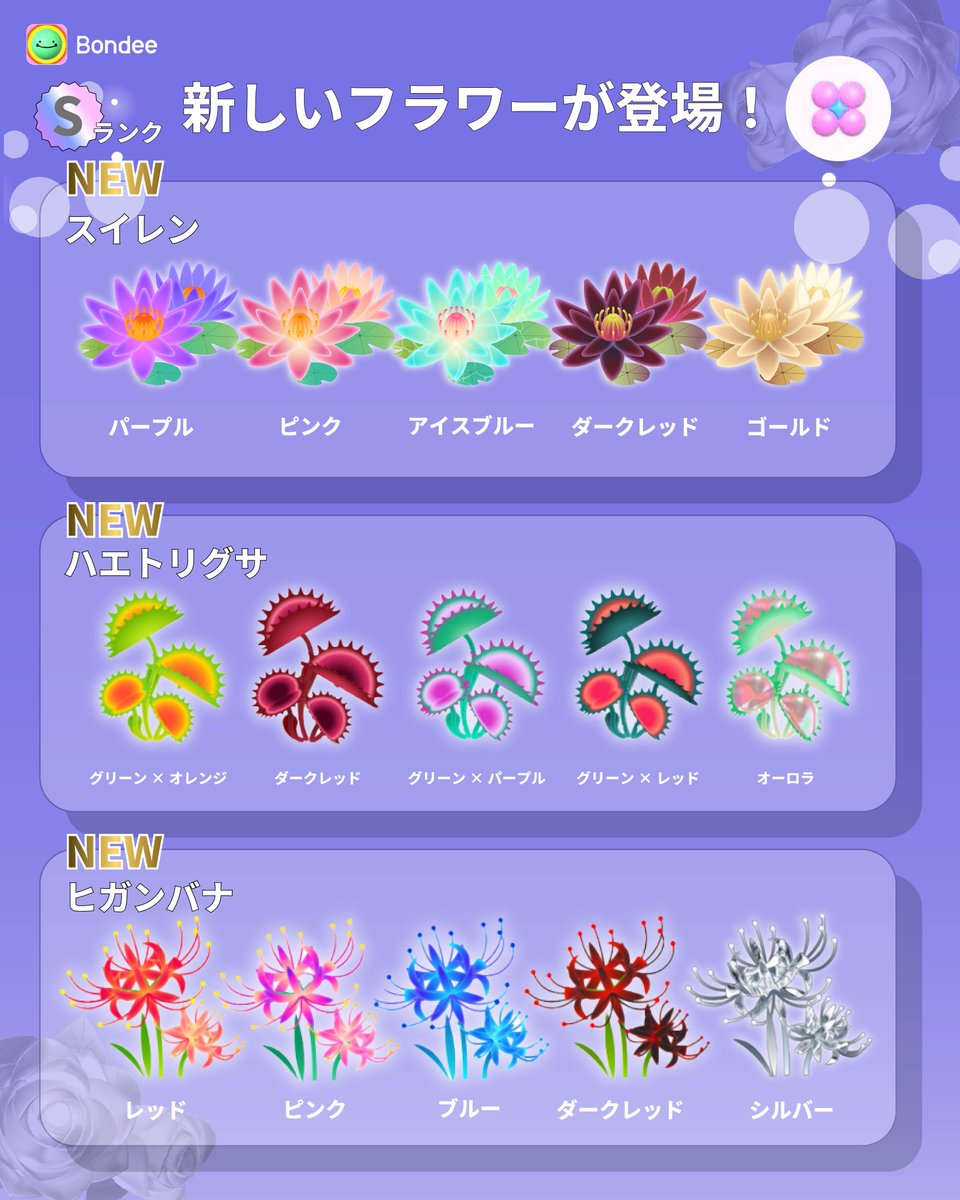 【公式】Bondee_Japan tweet media