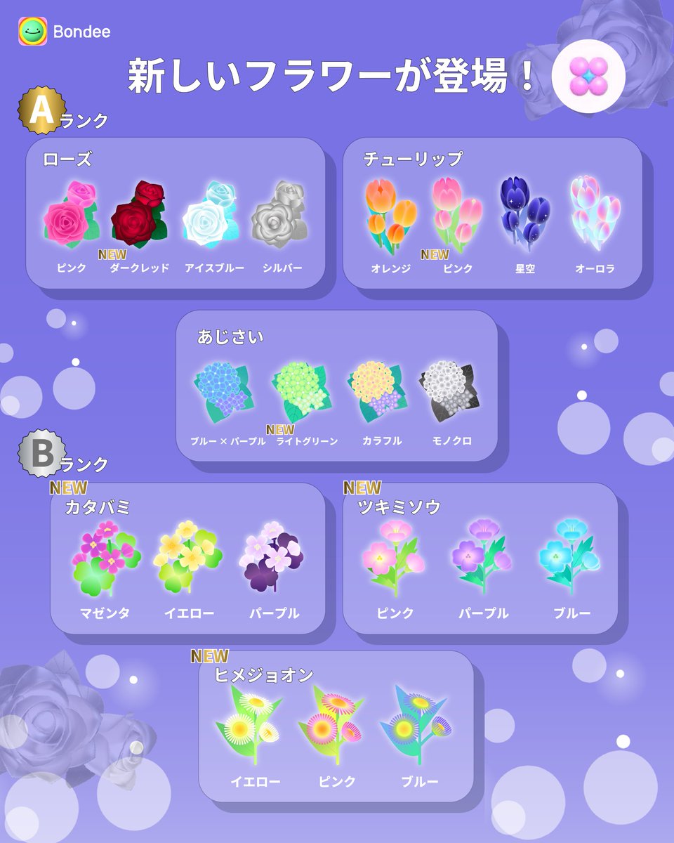 【公式】Bondee_Japan tweet media