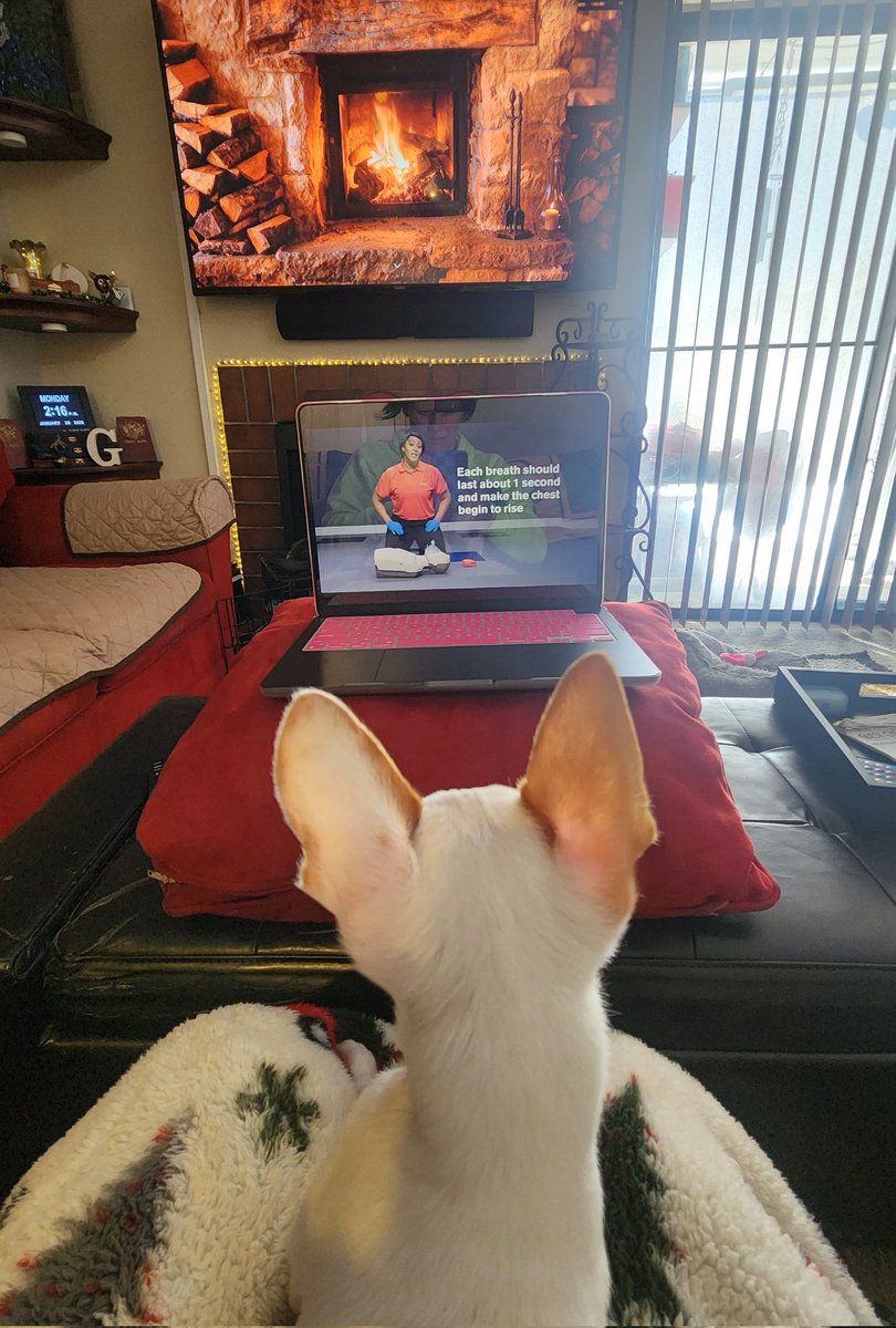 Watch Tara’s lifesaving CPR video myhrt.org/e5za5 and support Tara with a donation today! myhrt.org/dryll.

<a href="/McNeilElem/">McNeil Elementary</a> <a href="/mckinneyisd/">McKinney ISD</a> <a href="/KidsHeartChall/">Kids Heart Challenge</a> <a href="/American_Heart/">American Heart Association</a>